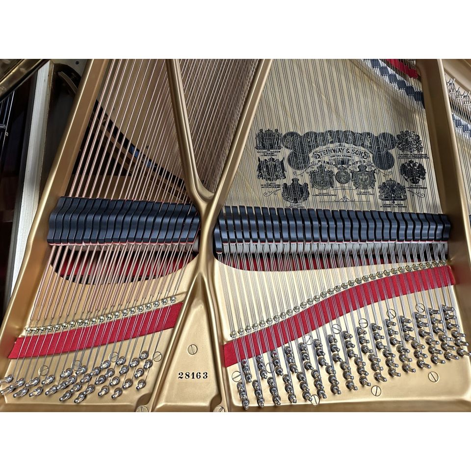 Steinway & Sons Flügel B211, edles Palisander Holz, inkl. Bank + in Jena