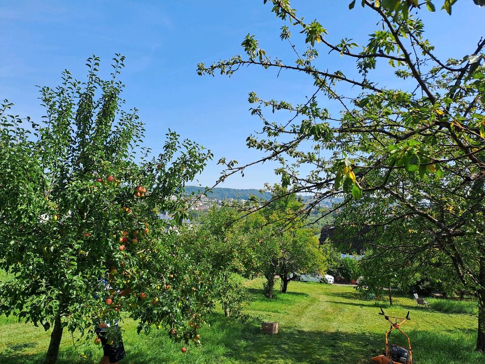 Obstbaumwiese Esslingen in Baiersbronn