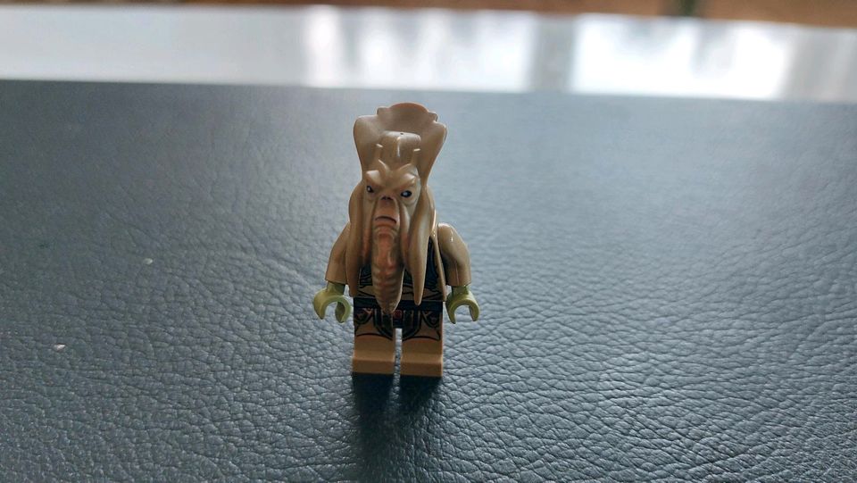 Lego Star Wars Figur Poggle in Hollenstedt