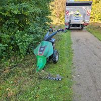 Mähen, mulchen von Baumwiesen, Bauplätzen Baden-Württemberg - Bad Wimpfen Vorschau