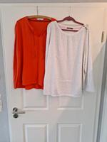 2 Langarm Shirts von Cecil XXL Niedersachsen - Spahnharrenstätte Vorschau