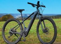 Cube Reaction Hybrid SL 625 29/17" iridium'n black E-Bike Bosch Baden-Württemberg - Wildberg Vorschau