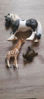 Schleich Tiere Pferd Giraffe Schildkröte Duisburg - Homberg/Ruhrort/Baerl Vorschau