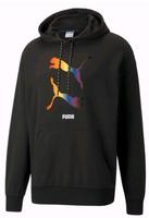 Verkaufe Puma Pride Hoodie Gr. L Bayern - Forchheim Vorschau