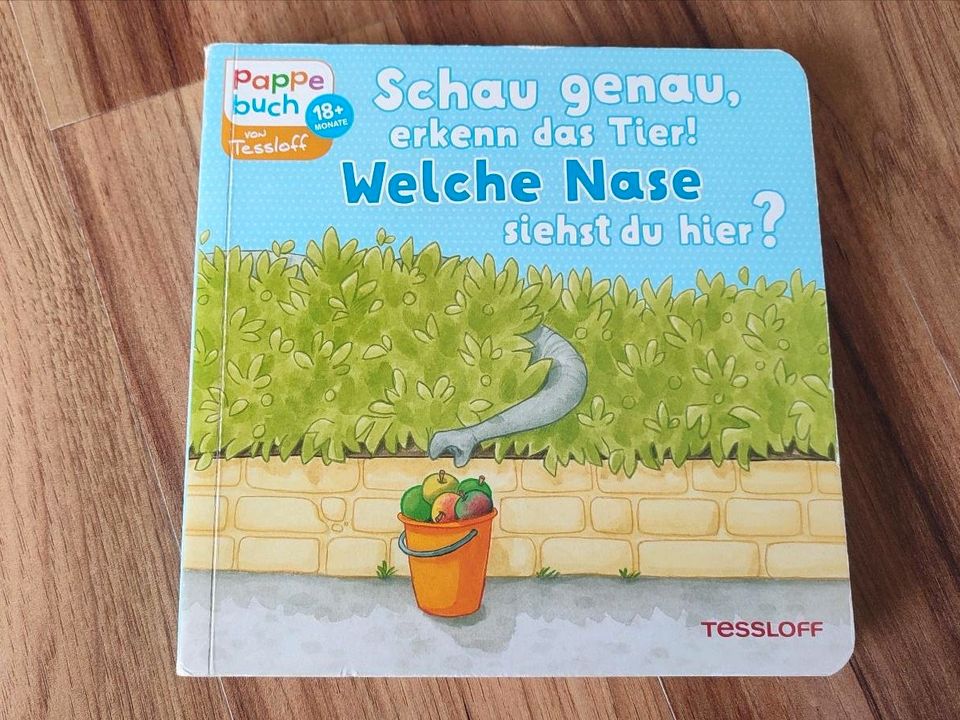 Kinderbuch Pappe-/Bilderbuch "Welche Nase siehst du hier?" in Ludwigsfelde