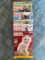 9 Zeitschriften “Geliebte Katze” Jahr 2008 (Monat 4-12) Schleswig-Holstein - Klein Nordende Vorschau