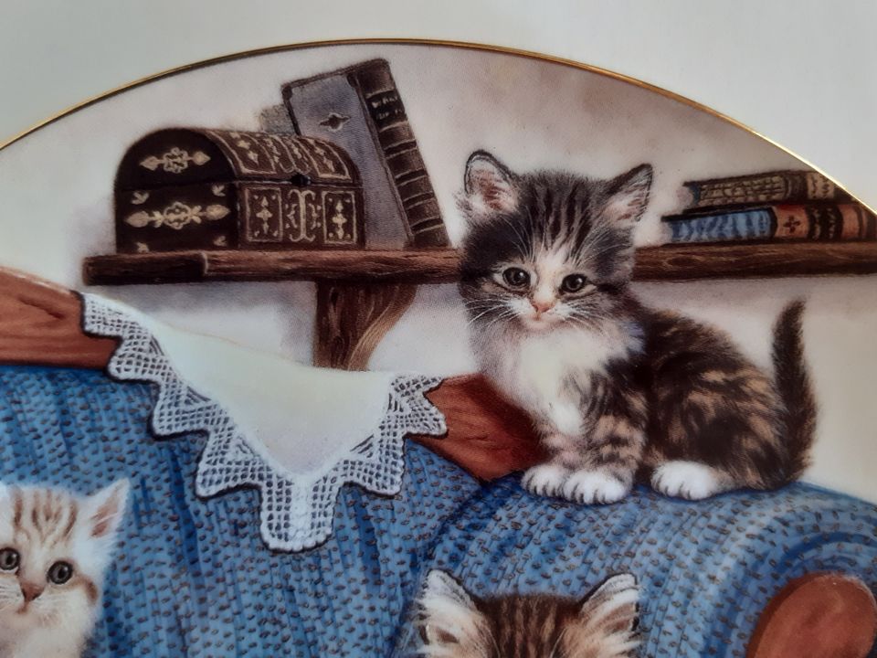 Katzen Sammel Teller "Auf dem Sofa" Nr. 1026 E. in Biedenkopf