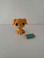 Littlest Pet Shop Spielfigur Hund Golden Retriever #21 Hessen - Hanau Vorschau