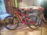 Mountainbike MTB 29,0 Zoll Bayern - Rottau Vorschau