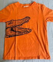 Shirt H&M Gr. 134/140 orange Krokodil Dresden - Blasewitz Vorschau