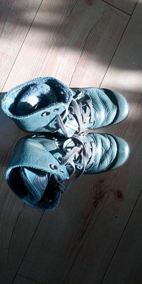 Palladium Boots gefüttert Wintersneaker Leder grün grau 36 in Waldenbuch