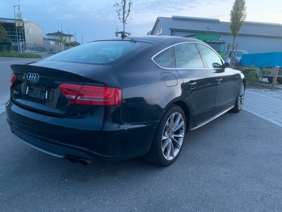 Audi S5 Sportback 3,0 TFSI Quattro Standheizung AHK B&O uvm. in Ingolstadt