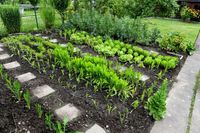 Schrebergarten, Garten, Grundstück zum kaufen oder pachten Baden-Württemberg - Schönaich Vorschau