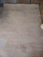 Teppich beige, Hochflor, 200x140, sehr guter Zustand Bayern - Krumbach Schwaben Vorschau