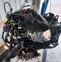 Motor Komplett 2.0TDI CFH 55.000KM 1 Jahr Garantie Stuttgart - Vaihingen Vorschau