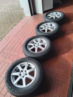 Alufelgen ENZO 16 Zoll   6.5Jx16H2 Nordrhein-Westfalen - Brakel Vorschau