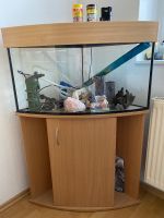 Aquarium ohne Fische Niedersachsen - Wildeshausen Vorschau