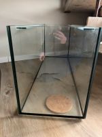 Terrarium, 120cm lang Dithmarschen - Lohe-Rickelshof Vorschau