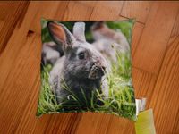 NEU Zier-Kissen 20x20 cm Hase Kaninchen Puppen-Kissen Saarland - Großrosseln Vorschau