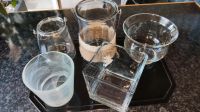 5 Pflanzgefäße aus Glas, auch für Deko geeignet Baden-Württemberg - Löchgau Vorschau