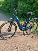 Winora E bike nur 400 km x2 Bosch Akkus 800wh Berlin - Treptow Vorschau