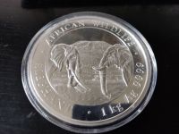 Silbermünze Somalia Elephant 1KG Silber 999,9 % Ag Jahrgang 2020 Nordrhein-Westfalen - Wermelskirchen Vorschau