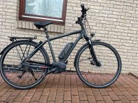 Raleigh Herren E-Bike 28“ Performance Line  8-Speed Unplattbar Schleswig-Holstein - Wilster Vorschau