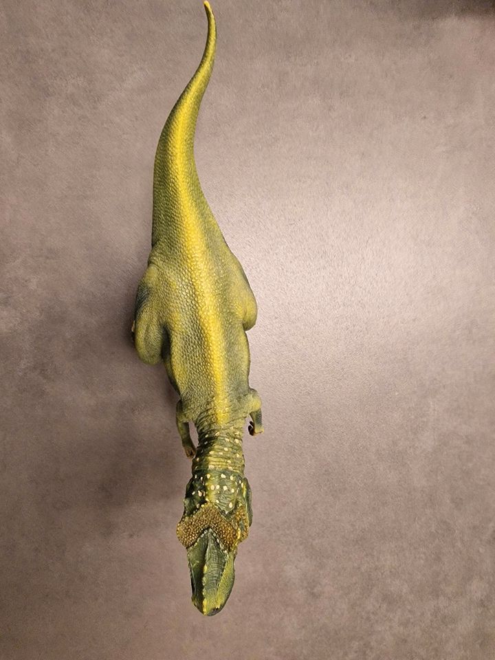 Schleich Tyranosuarus  Rex neuwertig in Aach