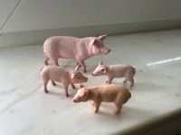 3 Schleich Schweine und 1 Tip Toi Schwein Düsseldorf - Oberkassel Vorschau