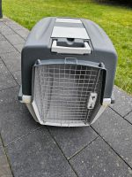 Hunde Transportbox Xl Nordrhein-Westfalen - Neunkirchen Siegerland Vorschau