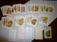 DDR Quartett, DDR Gesellschaftsspiel, Blumen Sachsen - Gablenz Vorschau