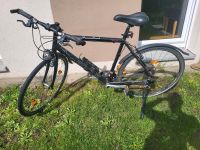 Focus Trekking Fahrrad 28 Zoll Wandsbek - Hamburg Bramfeld Vorschau