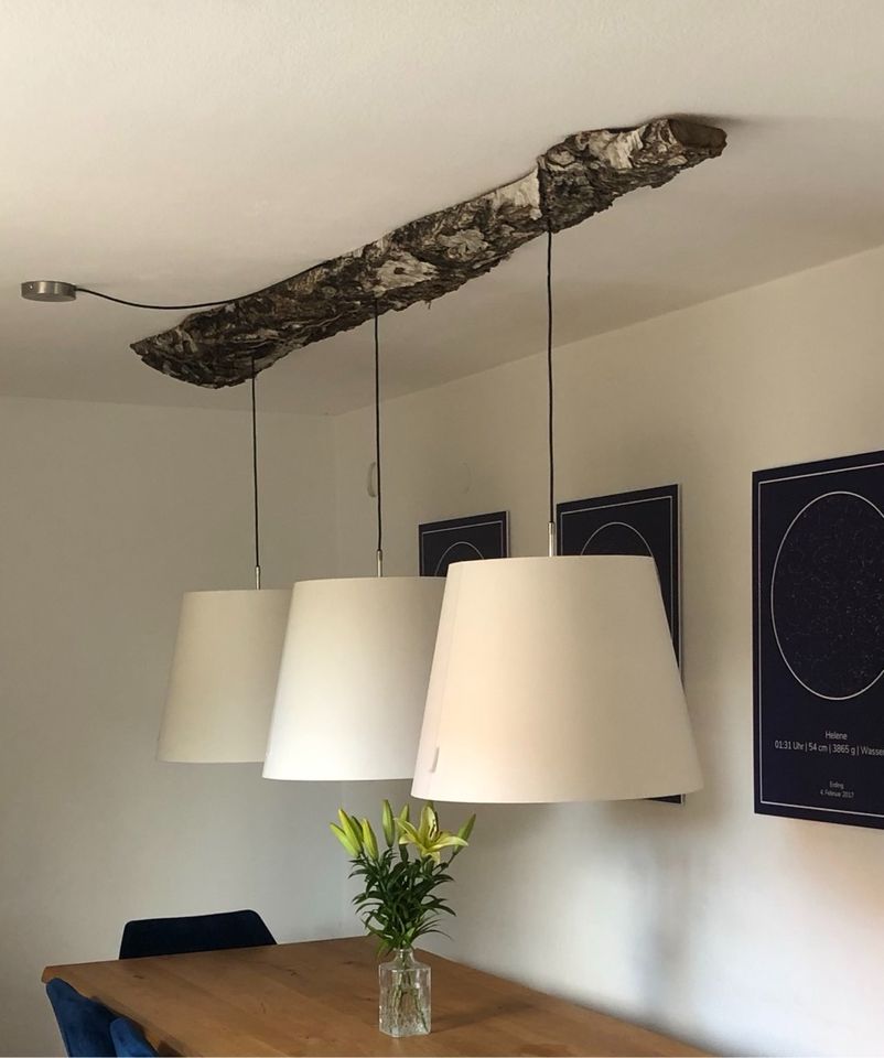 Lampe Baumstamm Birke Unikat Frau Maier.com Lampenschirm Hänge in Freising