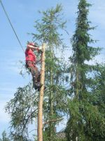 Sturmschädenbeseitigung Problemfällung Forstarbeiten Baumfällung Bayern - Untersiemau Vorschau