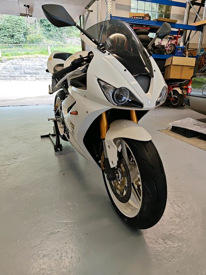 Triumph Daytona 675 in Widdern