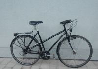 VSF Fahrradmanufaktur Damenrad Gr 52 S Shimano XT 90-er Damen 2R München - Altstadt-Lehel Vorschau