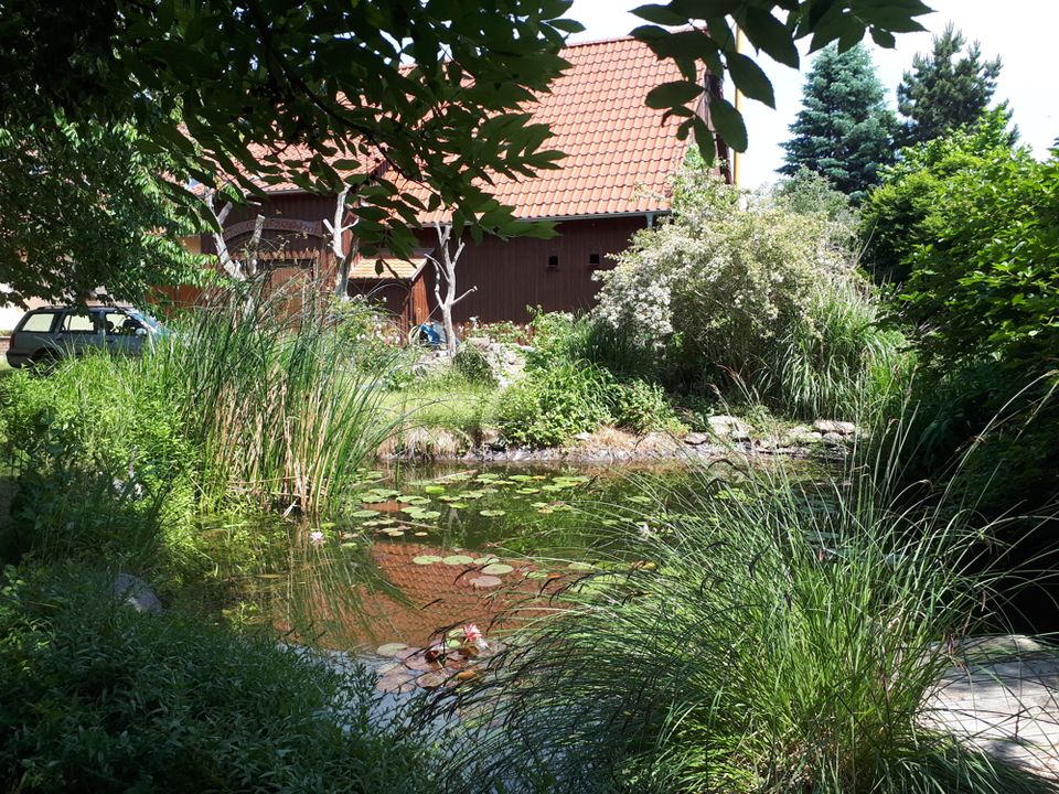 Charmantes Wohnhaus mit unbebautem Grundstück in der Nähe von Magdeburg *PROVISIONSFREI* zu erwerben in Möckern