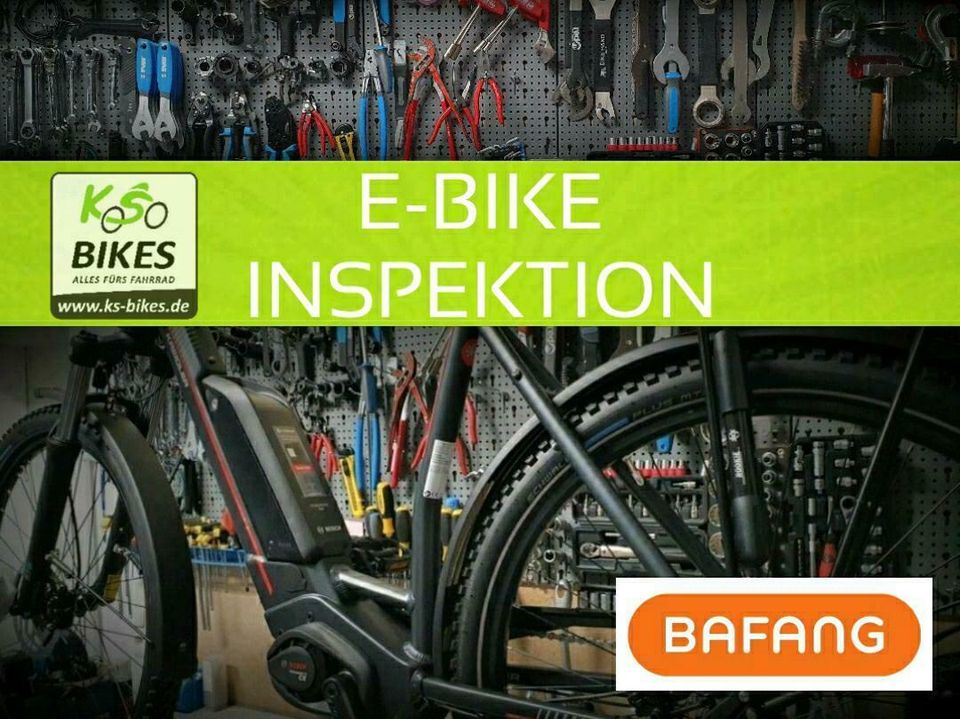 Bafang E-Bike Inspektion Service Update Kapazitätstest Abholung in Bottrop