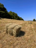 Heu HD Ballen Ernte 2023 Hochdruckballen Saarland - Schmelz Vorschau