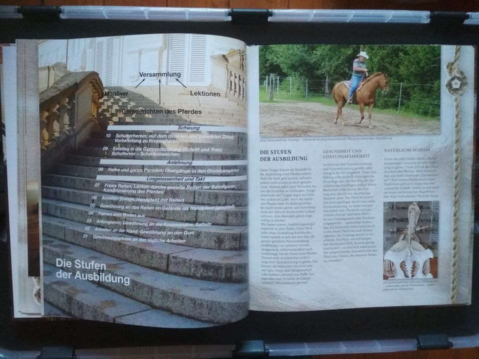 Westernreiten mit Roger Kupfer in Marienberg