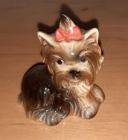 Goebel Sammler-Figur Hund Yorkshire Terrier Rheinland-Pfalz - Ludwigshafen Vorschau