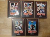 Anime Fairy Tail Box 1-5 - guter Zustand - DVD Dresden - Räcknitz/Zschertnitz Vorschau