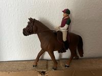 Schleich Pferde / Schleich Sets Sachsen-Anhalt - Ziegelroda Vorschau