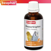 Beaphar 50 ml Mausertropfen Wellensittich Vögel Vitamine - NEU Aachen - Aachen-Mitte Vorschau