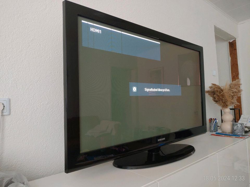Samsung 50 Zoll Fernseher in Neuwied