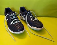 Asics Hallenschuhe Damen 40,5 Baden-Württemberg - Bietigheim-Bissingen Vorschau