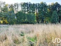 Naturnahes Baugrundstück, Grundstück voll erschlossen, kein Bauzwang Bayern - Pullenreuth Vorschau