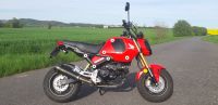 Honda Grom MSX 125 JC92 mit Arrow, kurzem Heck und K&N-Luftfilter Thüringen - Sonneberg Vorschau