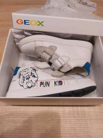 Geox Schuhe Gr.26. Wie neu. Echtes Leder Sachsen - Markkleeberg Vorschau