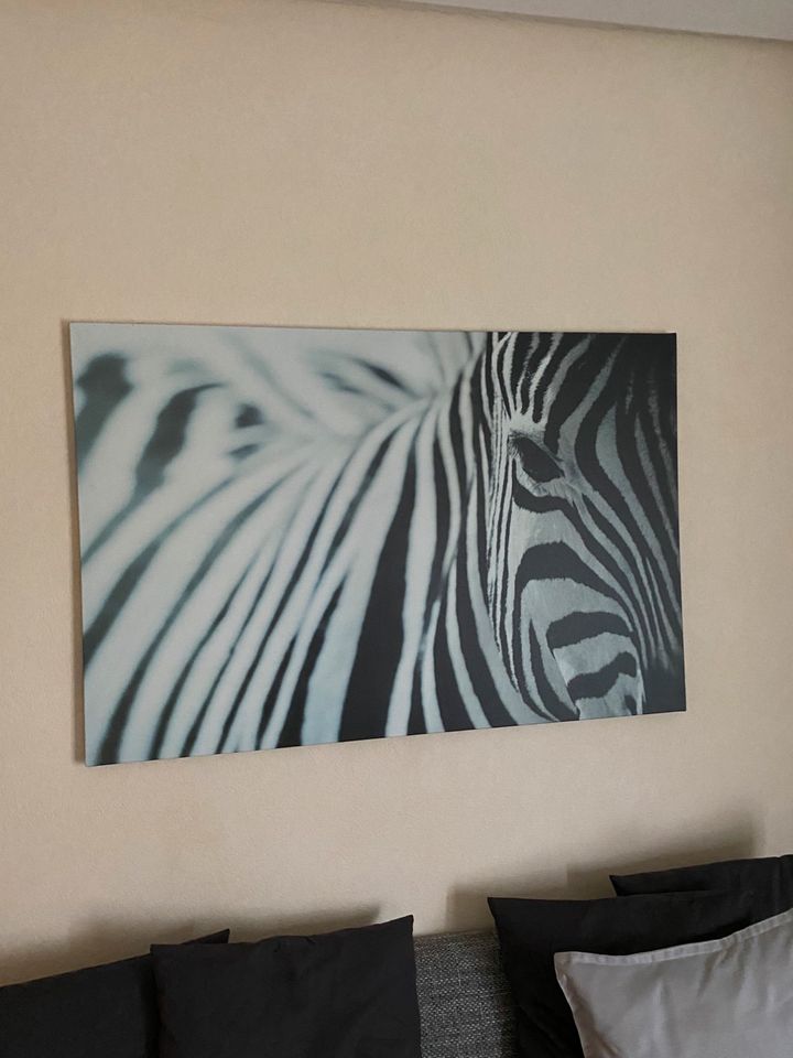 Zebra Bild Ikea in Gersfeld